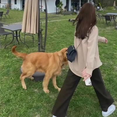 老婆就一个